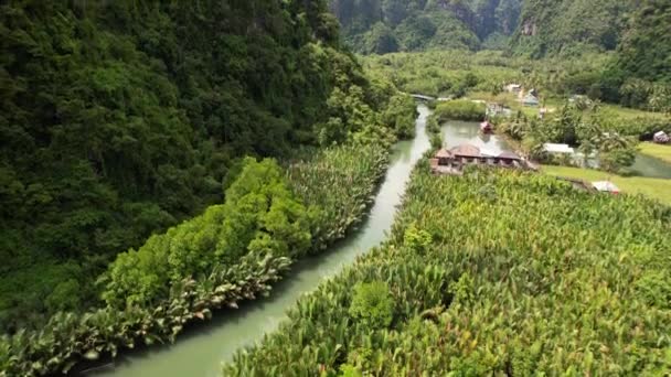 环绕着丛林 红树林和石灰岩山的河流的空中景观 在印度尼西亚Ramang Ramang Sulawesi的一个地方村庄拍摄 — 图库视频影像