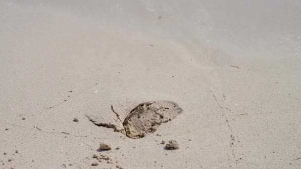 Footstep Sand Being Washed Out Wave Cancun Mexico — Vídeo de stock