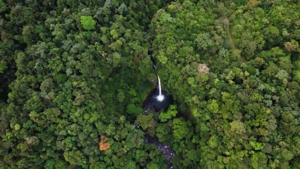 Epic Fortuna Waterfall Aerial Shot Middle Vast Green Rainforest — Wideo stockowe