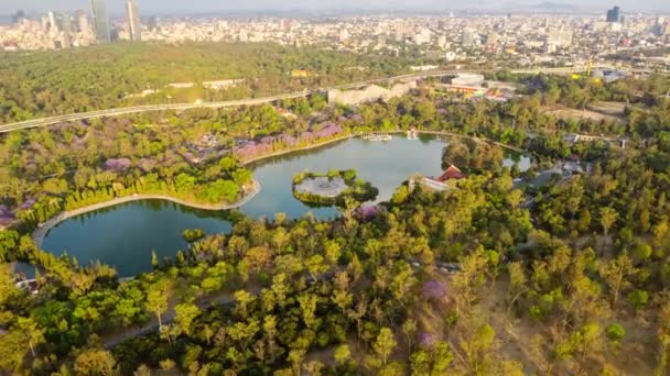 Hyperlapse Chapultepec Forest Mexico City — Stock video