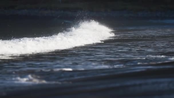 Dolci Onde Spruzzano Sulla Spiaggia Sabbiosa Ersfjord Schiuma Bianca Che — Video Stock