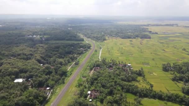 Areial View Stretches Railroad Route Passes Forests Plantations Villages — Vídeo de Stock