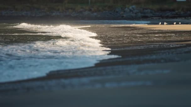 Wellen Wälzen Sich Langsam Über Die Untiefen Des Sandstrandes Ersfjord — Stockvideo