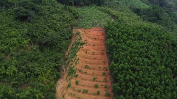 Deforestation Process Vietnamese Slope Surrounded Dense Woodland Aerial View — Vídeo de stock