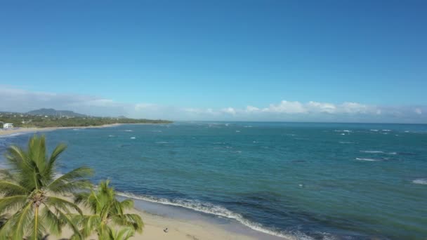 Andar Com Palmas Vista Para Praia Caribbean Sea Shore República — Vídeo de Stock