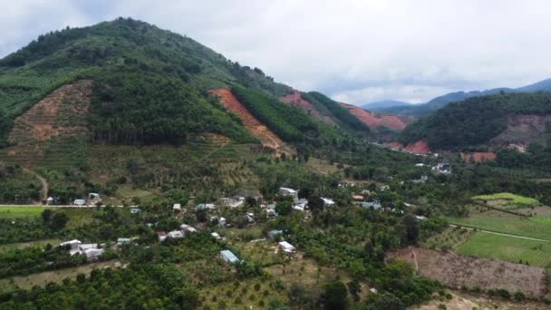 Destruction Process Vietnam Hill Forest Deforestation Problem Aerial View — Vídeo de stock