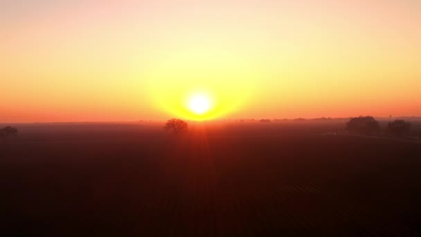 Atmosferische Wazige Ochtend Zonsopgang Silhouetted Bomen Landbouwgrond Drone Stijgende — Stockvideo