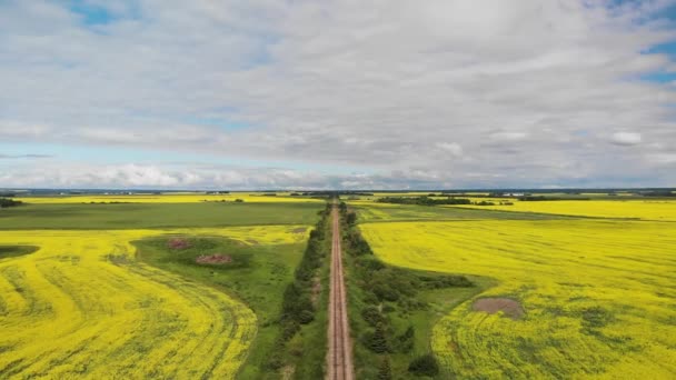Aerial Moving Foreword Single Rail Line Cutting Fields Bright Yellow — Video Stock