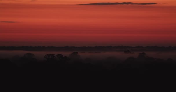 Vibrant Orange Sunset Ends Day Tambopata National Reserve Tracking Shot — Vídeos de Stock