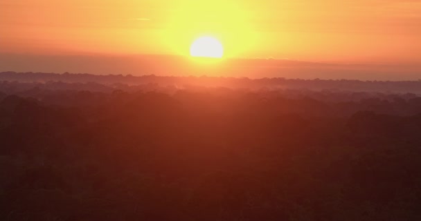 Tambopata Ulusal Rezervi Nde Yağmur Ormanı Üzerinde Gün Doğumu Parlak — Stok video