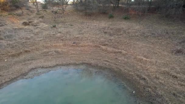 Aerial Footage Skunk Pond — 비디오
