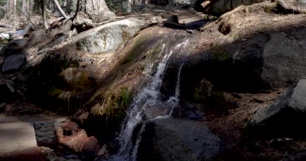 Small Waterfall Congress Trail Sequoia National Park — Stock Video