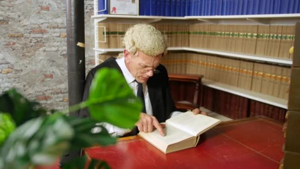 Dolly Atirou Juiz Advogado Lendo Livro Leis Biblioteca Juiz Homem — Vídeo de Stock