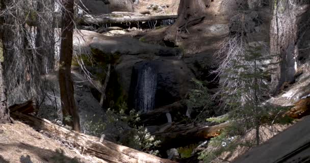 Slow Motion Small Waterfall Congress Trail Parku Narodowym Sequoia — Wideo stockowe
