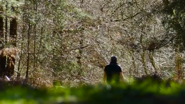 Man Walking Dense Part Calm Forest Sunny Morning — Wideo stockowe