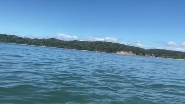 Kajakken Golf Van Guanacaste Costa Rica Bij Het San Lucas — Stockvideo