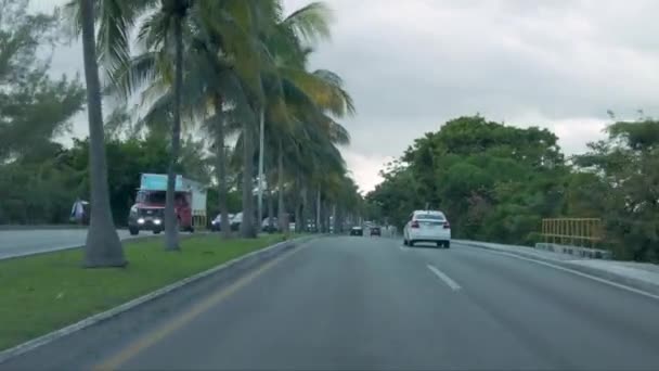 Проезд Через Гостиничную Зону Кукульканском Проспекте Канкуне Мексика Окруженный Пальмами — стоковое видео