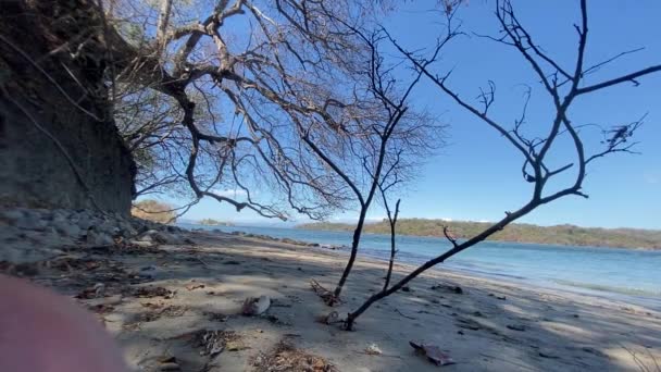 Relaxando Praia Pacífica Costa Rica — Vídeo de Stock