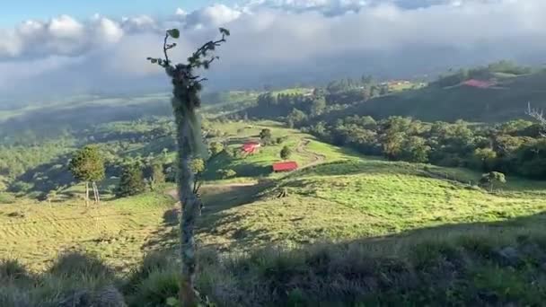 Puncak Dekatnya Gunung Berapi Turrialba Cartago Kosta Rika — Stok Video