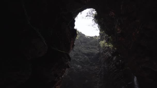 Grotta Buia Con Alte Pareti Muschio Pietra Con Vegetazione Grande — Video Stock