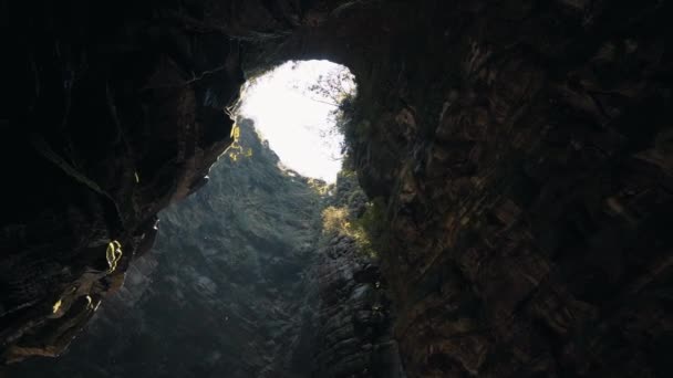 Beautiful Panning Shot Brazilian Rainforest Cave High Stone Walls Moss — Vídeos de Stock