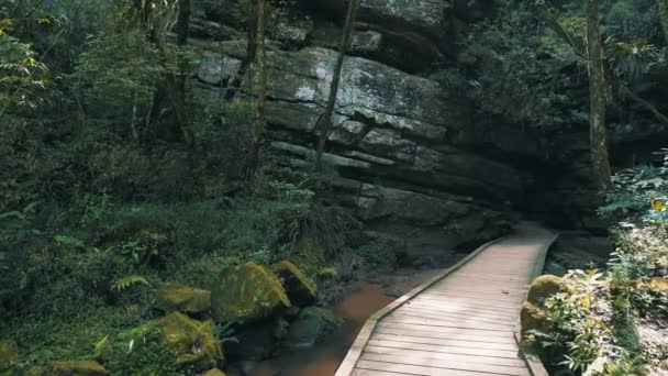 Yağmur Ormanlarının Karanlık Mağara Girişi Ahşap Podyumu Yüksek Taş Duvarları — Stok video