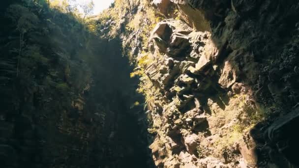 Amazing Rainforest High Stone Cave Wall Sunlight Vegatation Walls — Stockvideo