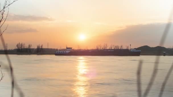 Golden Color Sun Setting Industrial Transport Boat Antwerp Time Lapse — Stockvideo