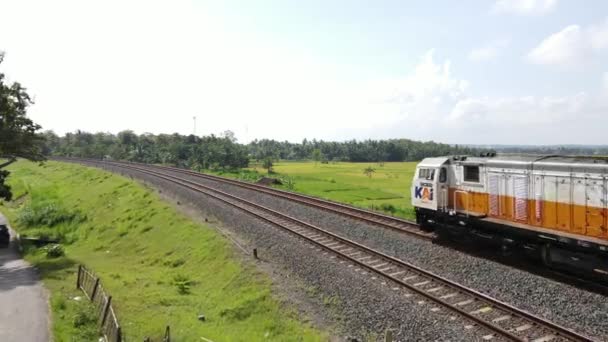 空中景观 列车通过弯曲的路线和稻田背景 — 图库视频影像
