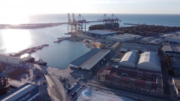 Vue Aérienne Drone Port Malaga Lever Soleil Heure Dorée Établissement — Video