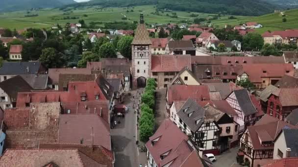 Stationary Aerial Footage Clock Tower Surrounded Houses Grassland Villagers Passes — Stock Video