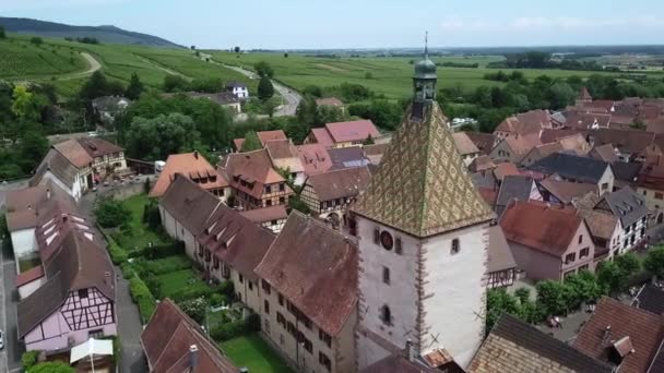 Smooth Drone Shot Revolving Clock Tower While Revealing Grassland Some — Wideo stockowe