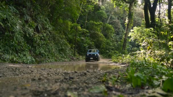 Veicolo 4X4 Che Attraversa Una Pozzanghera Strade Sterrate Una Foresta — Video Stock