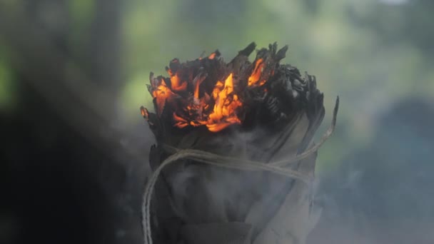 Närbild Glödande Salvia Pinne Släppa Avkopplande Doft Rök Till Ett — Stockvideo