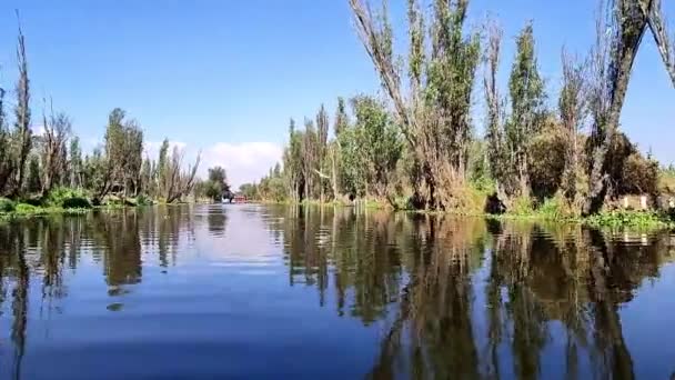 Timelapse Morgonen Xochimilco Chinampera Zon — Stockvideo