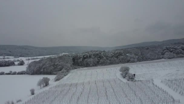 Drone Flies Winter Landscape Mountains Vineyard — Vídeos de Stock