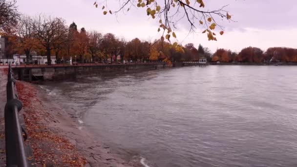 Bregenz Meer Promenade Herfst Bodenmeer Met Herfstbomen Regenachtige Dag — Stockvideo