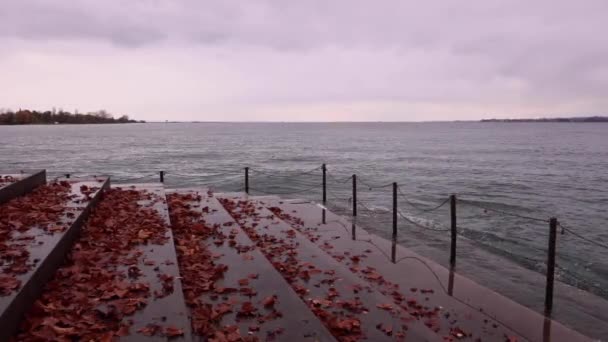 Bregenz Lake Promenade Autumn Leafs Rainy Day — Video Stock