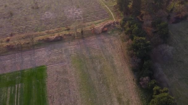 Szerokie Ujęcie Pola Farmerskiego Wczesnym Rankiem Wiosnę Rolnikiem Chodzącym — Wideo stockowe