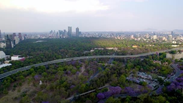 Drone Shot Van Hele Kapultepec Bos — Stockvideo