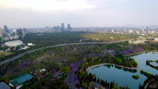 Dronă Frontală Împușcată Pădurea Orașului Mexico Chapultepec Apusul Soarelui — Videoclip de stoc