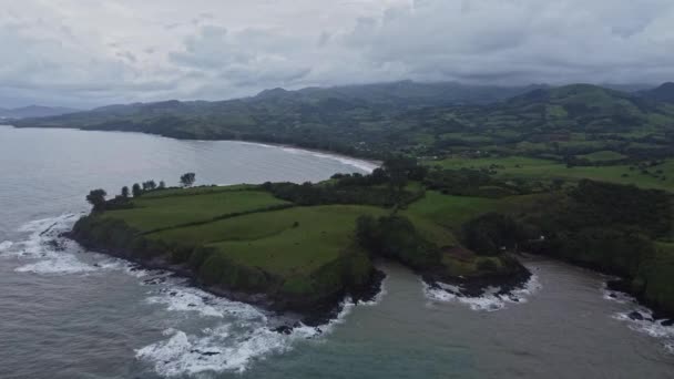 Aerial Shot Beautiful Green Pasture Livestock Grazing Rocky Shores Sea — стоковое видео