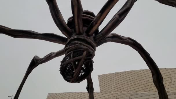 Sculpture Maman Guggenheim Bilbao — стоковое видео