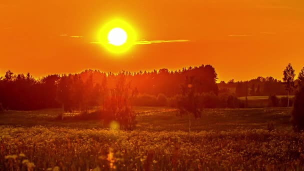Zeitraffer Des Sonnenuntergangs Hinter Dem Horizont Über Ländlicher Landschaft Und — Stockvideo