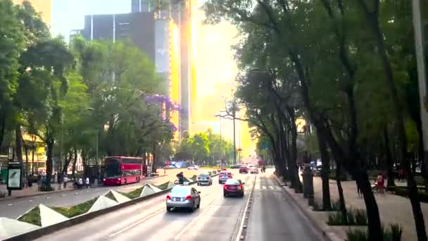 Shot Dense Traffic Infront Senate Mexico City — Stock Video