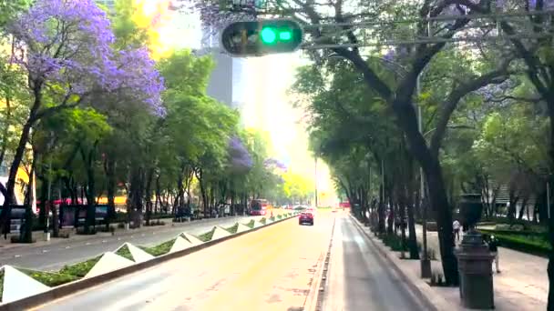 Выстрел Уличных Фонарей Автомобилей Paseo Reforma Мехико — стоковое видео