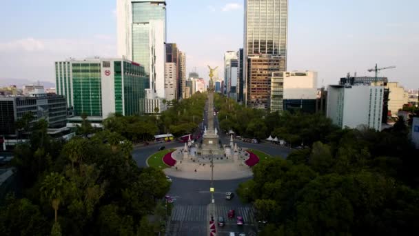 Paseo Reforma大道无人驾驶飞机拍摄 开着夜莺花 — 图库视频影像