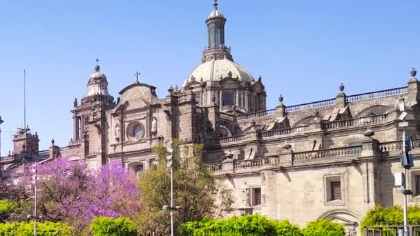 Shot Side Cathedral Downtown Mexico City — Stockvideo