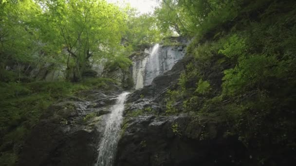 Bulgaristan Dağ Şelalesi Rodop Dağları — Stok video