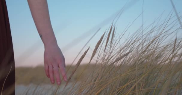 Hand Woman Touch Beach Plants Wearing Red Long Dress Back — Vídeos de Stock